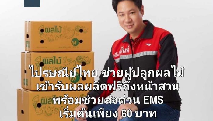 ไปรษณีย์ไทย ช่วยผู้ปลูกผลไม้ เข้ารับผลผลิตฟรีถึงหน้าสวน พร้อมช่วยส่งด่วน EMS เริ่มต้นเพียง 60 บาท