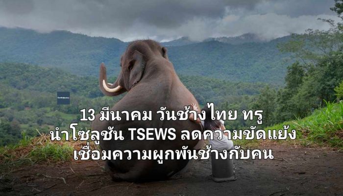 13 มีนาคม วันช้างไทย ทรู นำโซลูชัน TSEWS ลดความขัดแย้ง เชื่อมความผูกพันช้างกับคนอยู่ร่วมกันอย่างยั่งยืนในยุคดิจิทัล