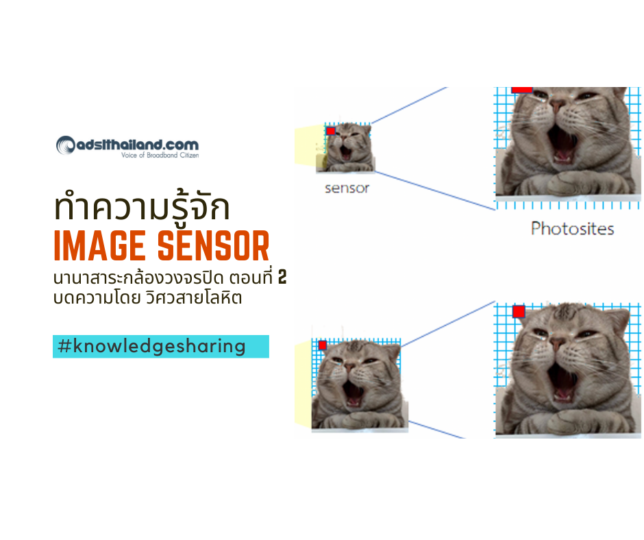 ทำความรู้จักกับ Image sensor - นานาสาระกล้องวงจรปิด ตอนที่ 2 