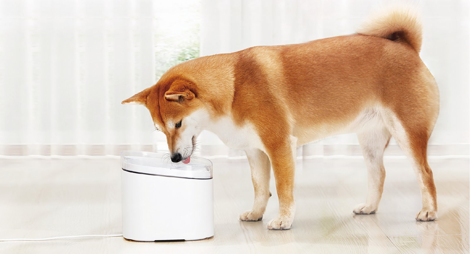 Xiaomi เอาใจคนรักสัตว์เลี้ยง วางจำหน่าย Xiaomi Smart Pet Fountain และ Xiaomi Smart Pet Food