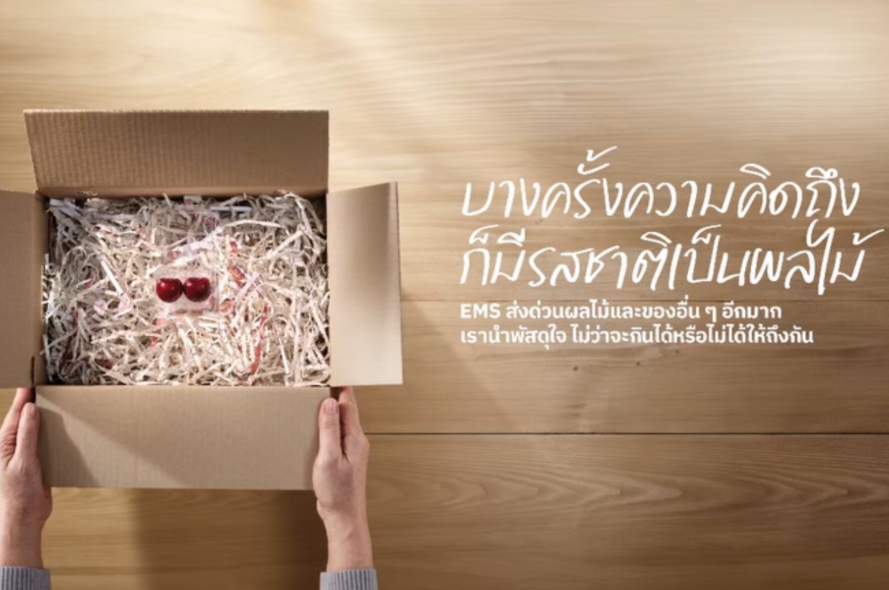 ไปรษณีย์ไทยชวนส่องสตอรี่ 'ลูกเลือด' ผลไม้ป่าหายาก รสชาติคุ้นเคยของคนใต้ ส่งตรงถึงมือได้ด้วยบริการ EMS ส่งด่วนผลไม้